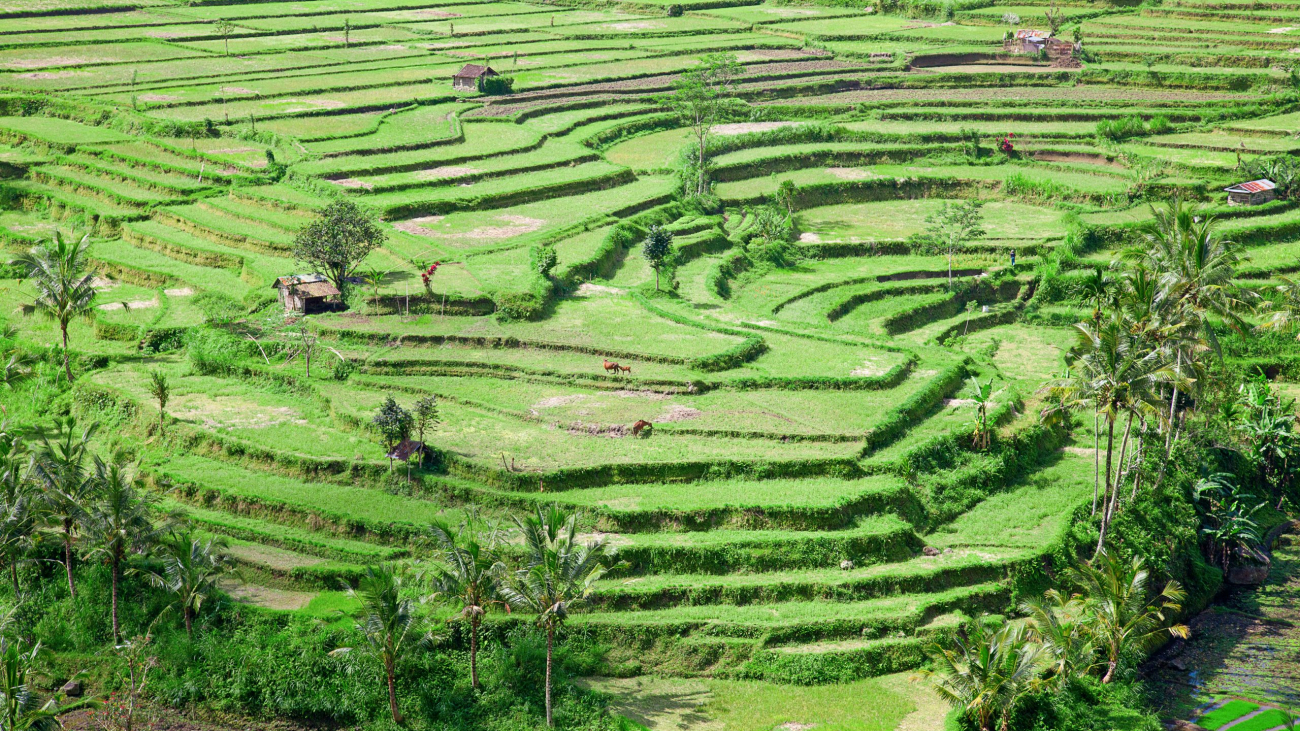 uu pokok agraria