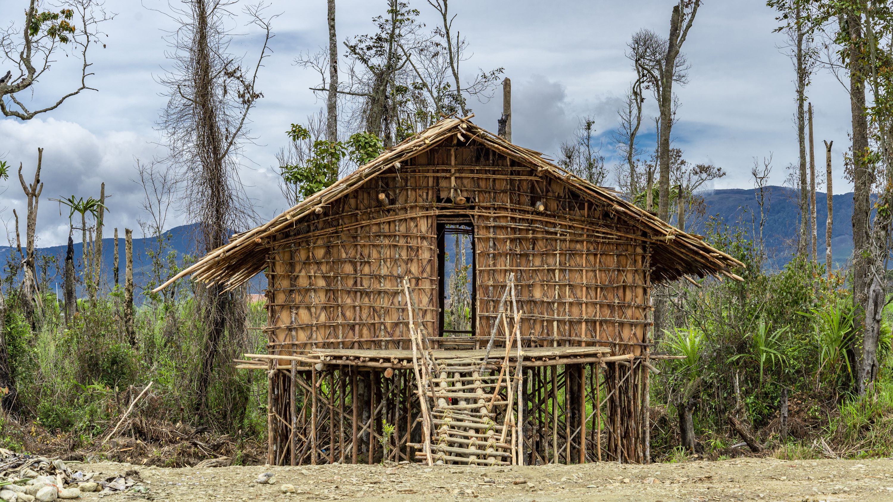 rumah adat papua barat rumah kaki seribu